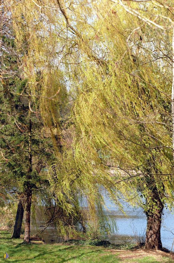 Nom de l'image : D1120303-01_(c)Norbert-JUNG — Description :  PËlerinage de Chartres 2004